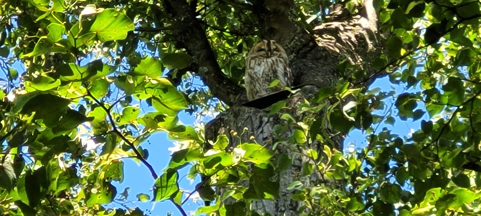 banner/IMG-20250408-WA0013.jpg