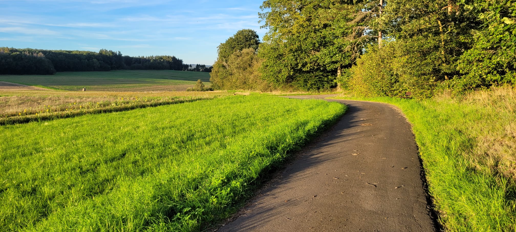 banner/IMG-20250408-WA0021.jpg