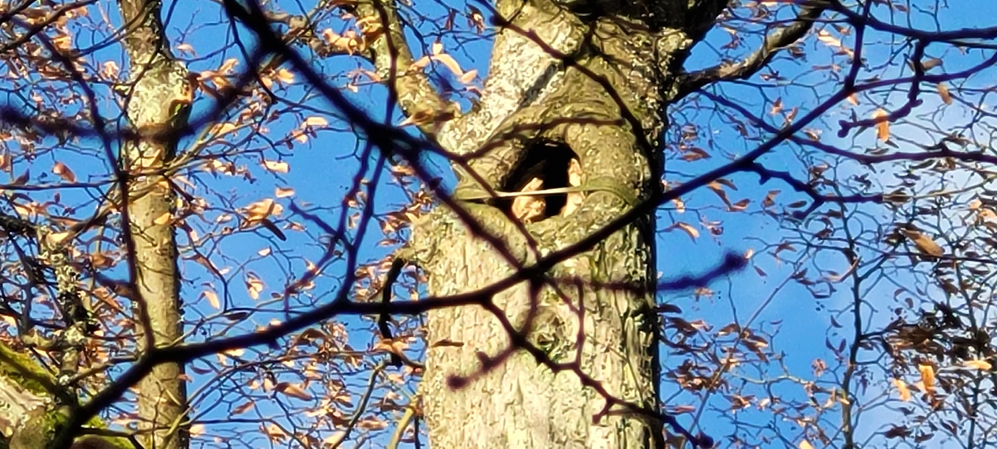 banner/IMG-20250408-WA0024.jpg