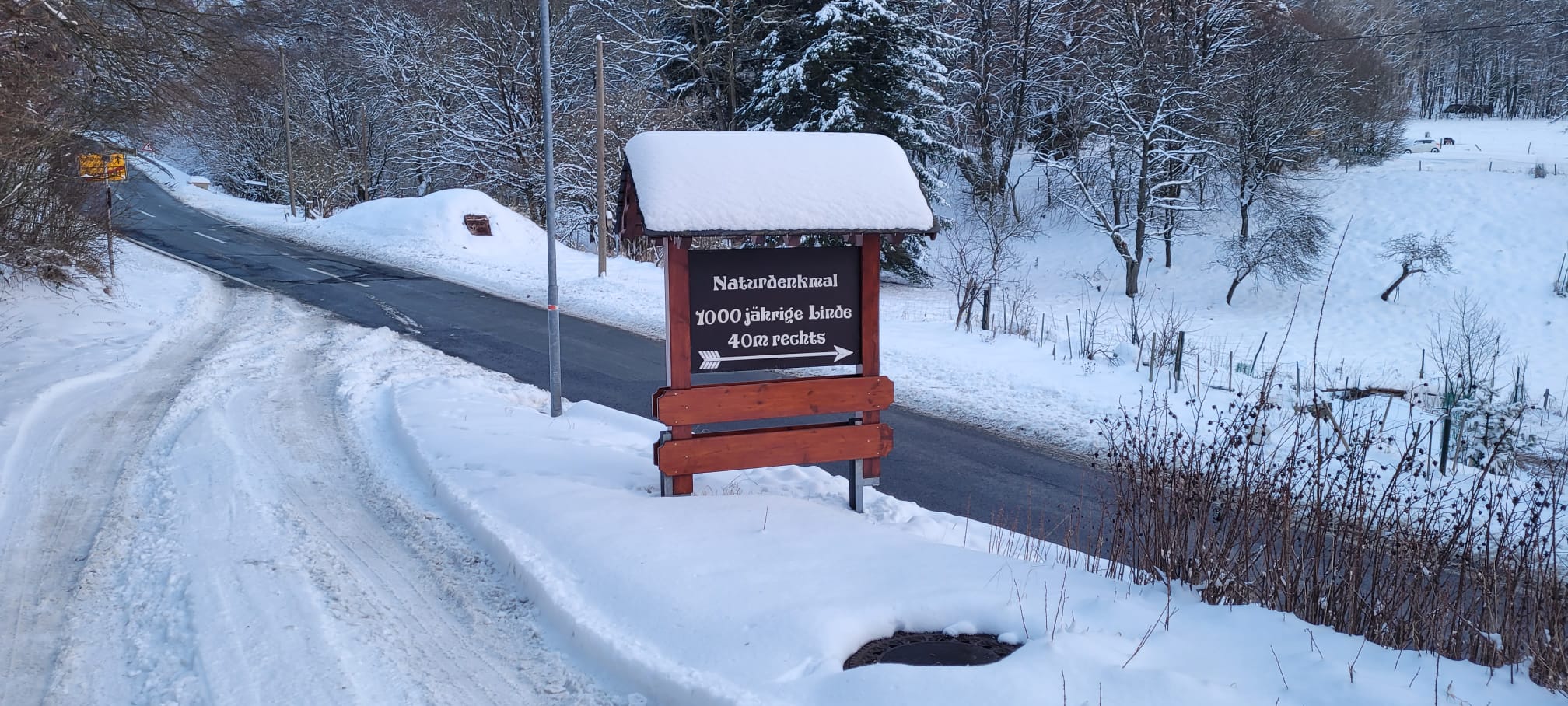 banner/IMG-20250408-WA0035.jpg