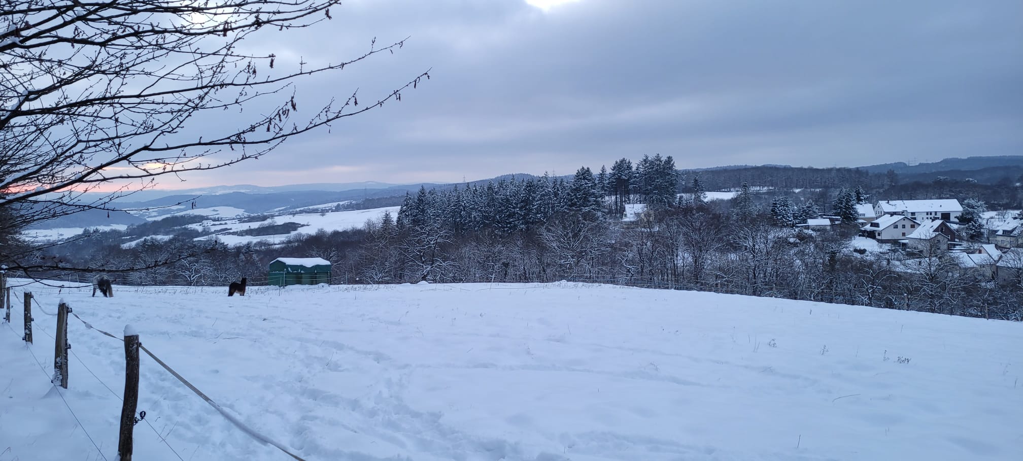 banner/IMG-20250408-WA0036.jpg