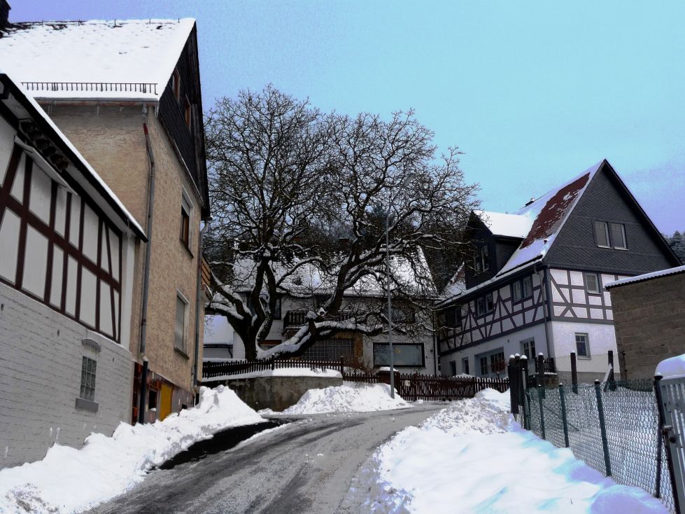 werner2/23/image005.jpg
